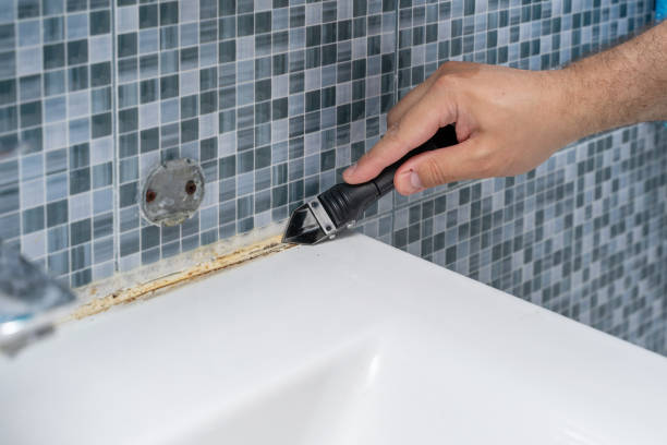 Best Certified Mold Removal  in Bethany, OR
