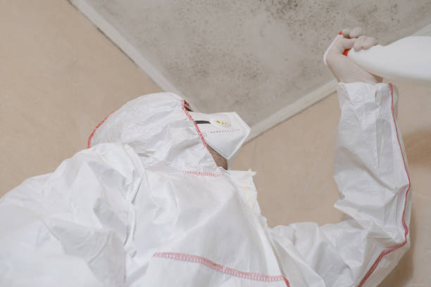 Best Emergency Mold Removal  in Bethany, OR